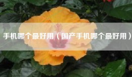 手机哪个最好用（国产手机哪个最好用）