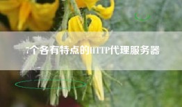 7个各有特点的HTTP代理服务器