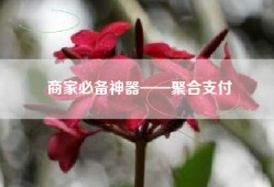 商家必备神器——聚合支付