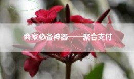 商家必备神器——聚合支付