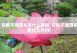 百度不能搜索是什么原因_百度不能搜索是什么原因？