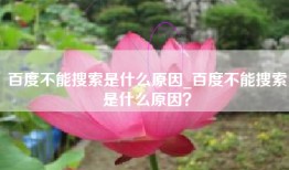 百度不能搜索是什么原因_百度不能搜索是什么原因？