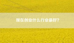 现在创业什么行业最好？