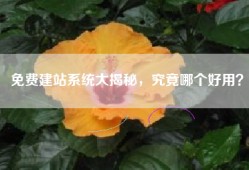 免费建站系统大揭秘，究竟哪个好用？