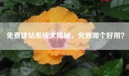 免费建站系统大揭秘，究竟哪个好用？