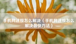 手机网速慢怎么解决（手机网速慢怎么解决最快方法）