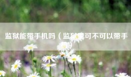 监狱能带手机吗（监狱里可不可以带手机）