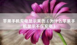 苹果手机充电显示黄色（为什么苹果手机显示不在充电）