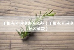 手机充不进电去怎么办（手机充不进电怎么解决）