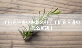 手机充不进电去怎么办（手机充不进电怎么解决）