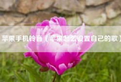 苹果手机铃音（苹果怎么设置自己的歌）