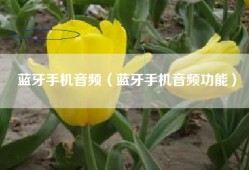 蓝牙手机音频（蓝牙手机音频功能）
