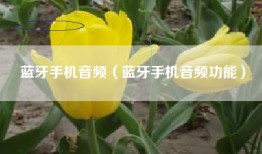 蓝牙手机音频（蓝牙手机音频功能）