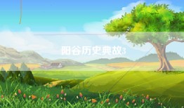 阳谷历史典故3