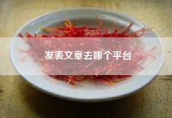 发表文章去哪个平台