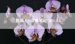 前端-CSS详细笔记-2021-5-6
