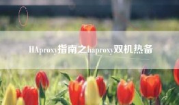 HAproxy指南之haproxy双机热备