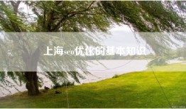 上海seo优化的基本知识