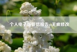 个人电子版征信报告ps无痕修改