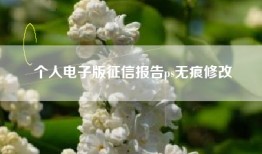 个人电子版征信报告ps无痕修改