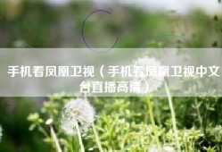 手机看凤凰卫视（手机看凤凰卫视中文台直播高清）