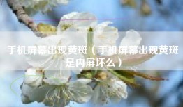 手机屏幕出现黄斑（手机屏幕出现黄斑是内屏坏么）