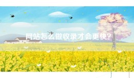 网站怎么做收录才会更快？
