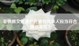 非物质文化遗产代表性传承人应当符合哪些条件？