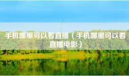 手机哪里可以看直播（手机哪里可以看直播电影）