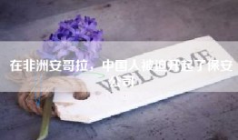 在非洲安哥拉，中国人被迫开起了保安公司