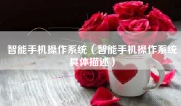 智能手机操作系统（智能手机操作系统具体描述）