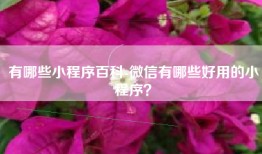 有哪些小程序百科-微信有哪些好用的小程序？