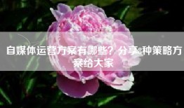 自媒体运营方案有哪些？分享8种策略方案给大家