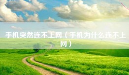 手机突然连不上网（手机为什么连不上网）
