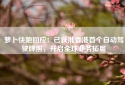 萝卜快跑回应：已获批香港首个自动驾驶牌照，开启全球业务拓展