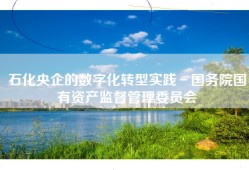 石化央企的数字化转型实践－国务院国有资产监督管理委员会