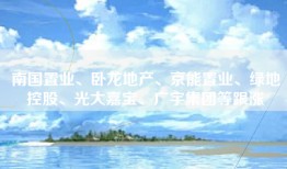 南国置业、卧龙地产、京能置业、绿地控股、光大嘉宝、广宇集团等跟涨