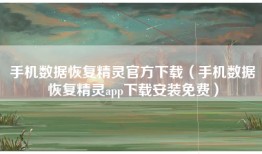 手机数据恢复精灵官方下载（手机数据恢复精灵app下载安装免费）