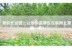 竞价代运营：让你的品牌在互联网上独树一帜！