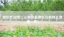 竞价代运营：让你的品牌在互联网上独树一帜！