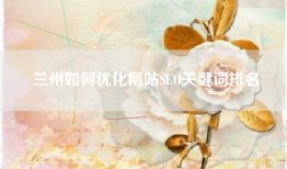 兰州如何优化网站SEO关键词排名