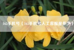 165手机号（165手机号人工客服是多少）