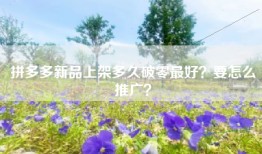 拼多多新品上架多久破零最好？要怎么推广？