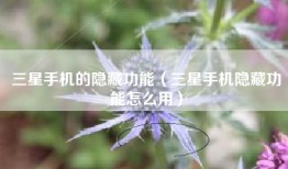 三星手机的隐藏功能（三星手机隐藏功能怎么用）