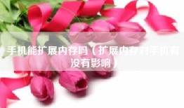 手机能扩展内存吗（扩展内存对手机有没有影响）