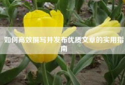 如何高效撰写并发布优质文章的实用指南