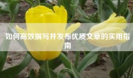 如何高效撰写并发布优质文章的实用指南