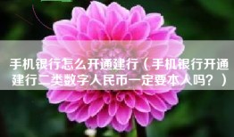 手机银行怎么开通建行（手机银行开通建行二类数字人民币一定要本人吗？）