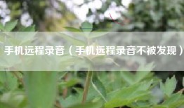 手机远程录音（手机远程录音不被发现）