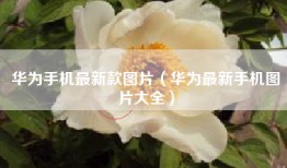 华为手机最新款图片（华为最新手机图片大全）